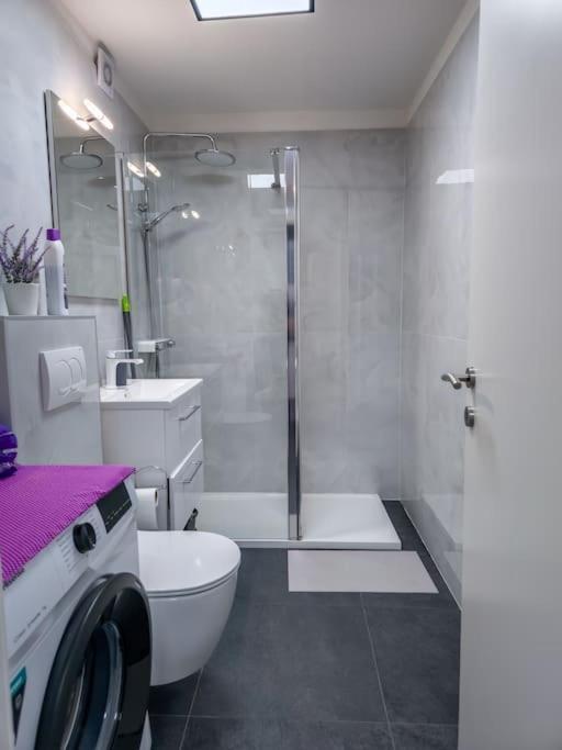 Apartment Stefani Rijeka Extérieur photo